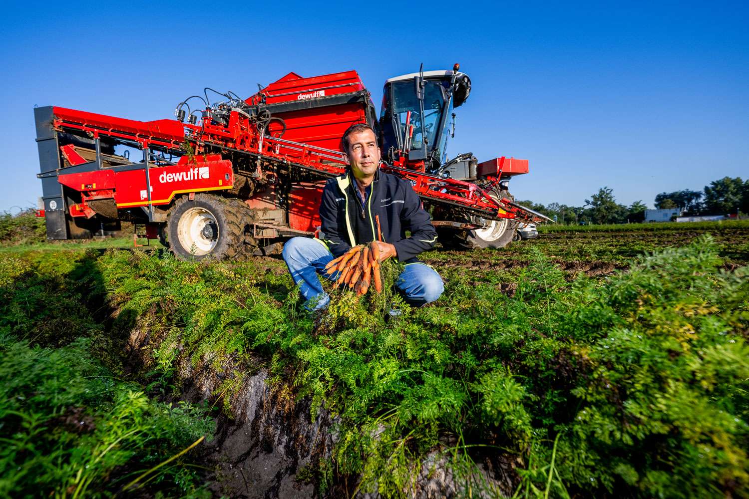 Landwirt mit Möhren vor Erntemaschine.