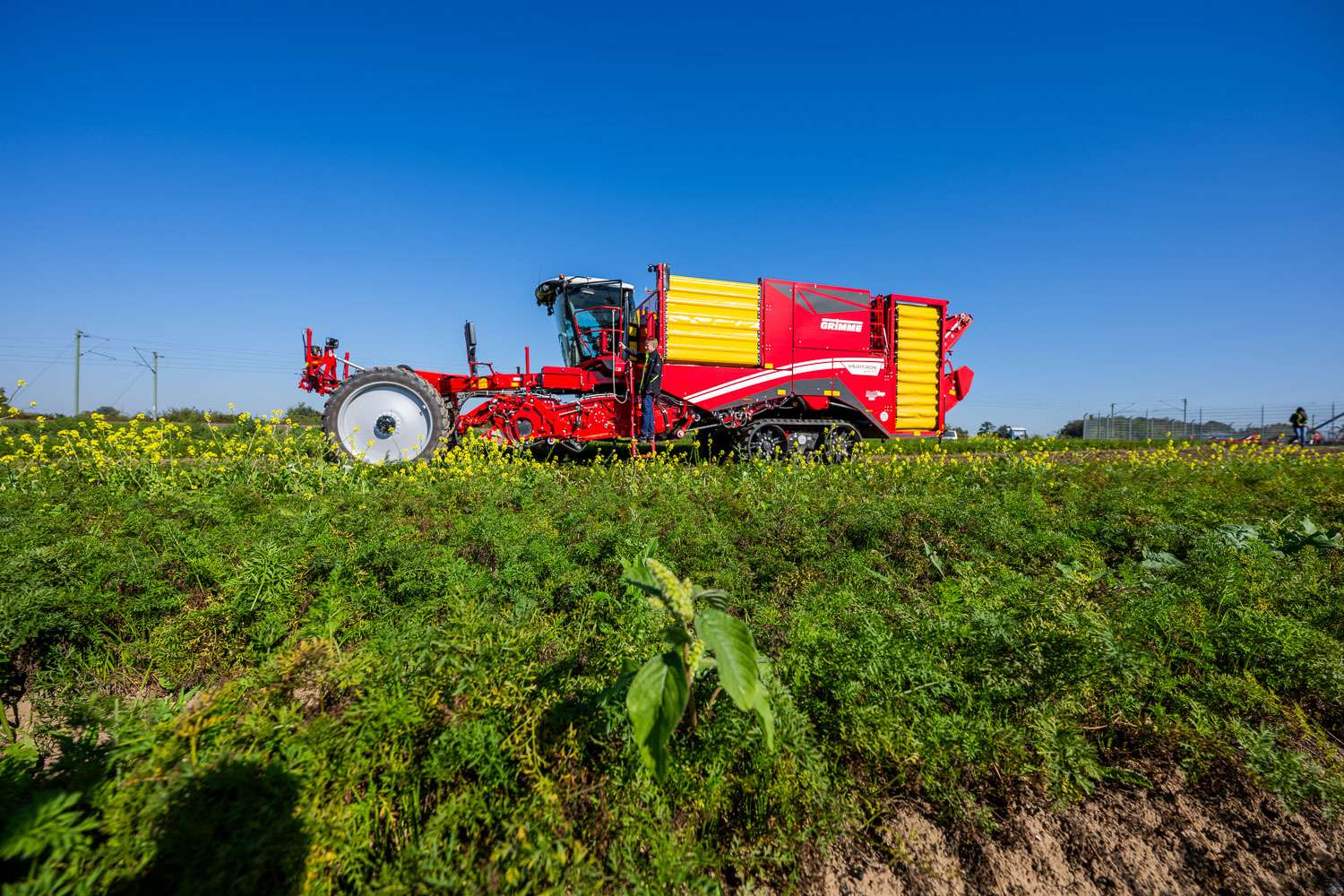 Roter Kartoffelernter auf Feld im Einsatz